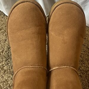 UGG Cream Shearling Lined Footwear